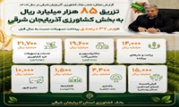 تزریق ۸۵ هزار میلیارد ریال به بخش کشاورزی آذربایجان شرقی در سال ۱۴۰۴